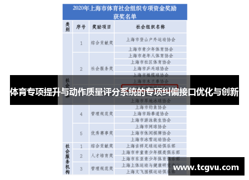 体育专项提升与动作质量评分系统的专项纠偏接口优化与创新